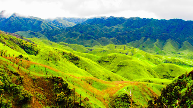 Valley Of Flowers Dzukou valley Nagaland - avalshe98