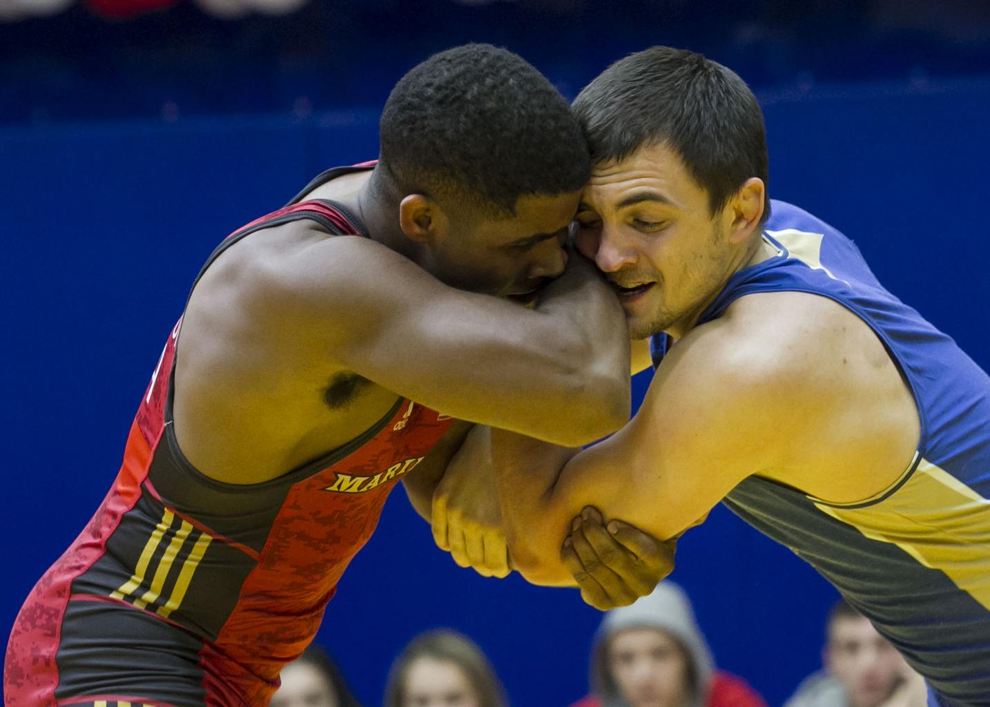 греко римская борьба международный турнир. турнир по греко римской борьбе имени лаврикова. греко римская борьба россия. вольная борьба юниоры. первенство россии борьба.