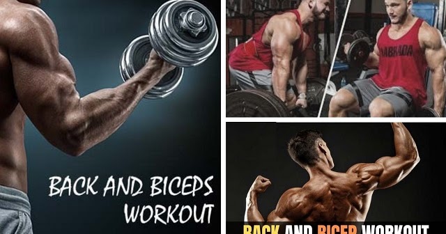 Back And Biceps Workout Hunter Labrada