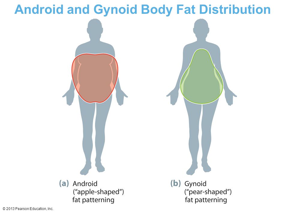 Dysnutrition Always the difference between the gynoid healthy fat