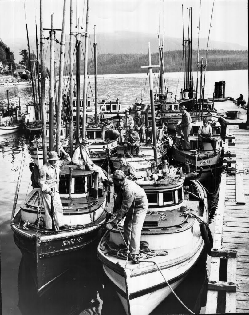 Northern Vancouver Island The Undiscovered Coast Confiscated