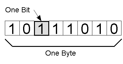 BYTE Unidad de información compuesta generalmente de ocho bit
