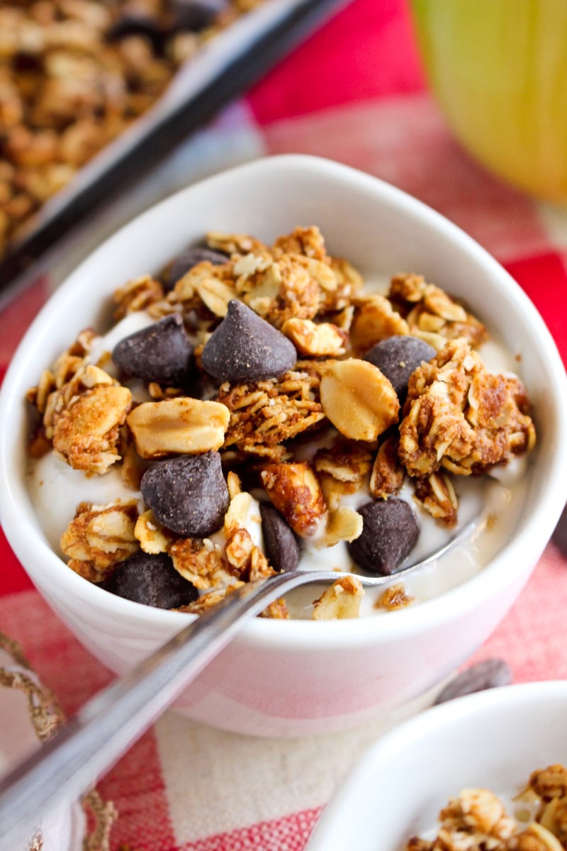 Chocolate Chip Peanut Butter Granola | The Two Bite Club Side view of a white bowl of yogurt topped with Chocolate Chip Peanut Butter Granola on a red and white checkered background.