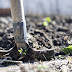 Gft-compost zorgt voor vruchtbare bodem en schoon water
