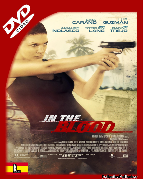 Venganza [DVDRip][Latino][FD-SD-MG] 