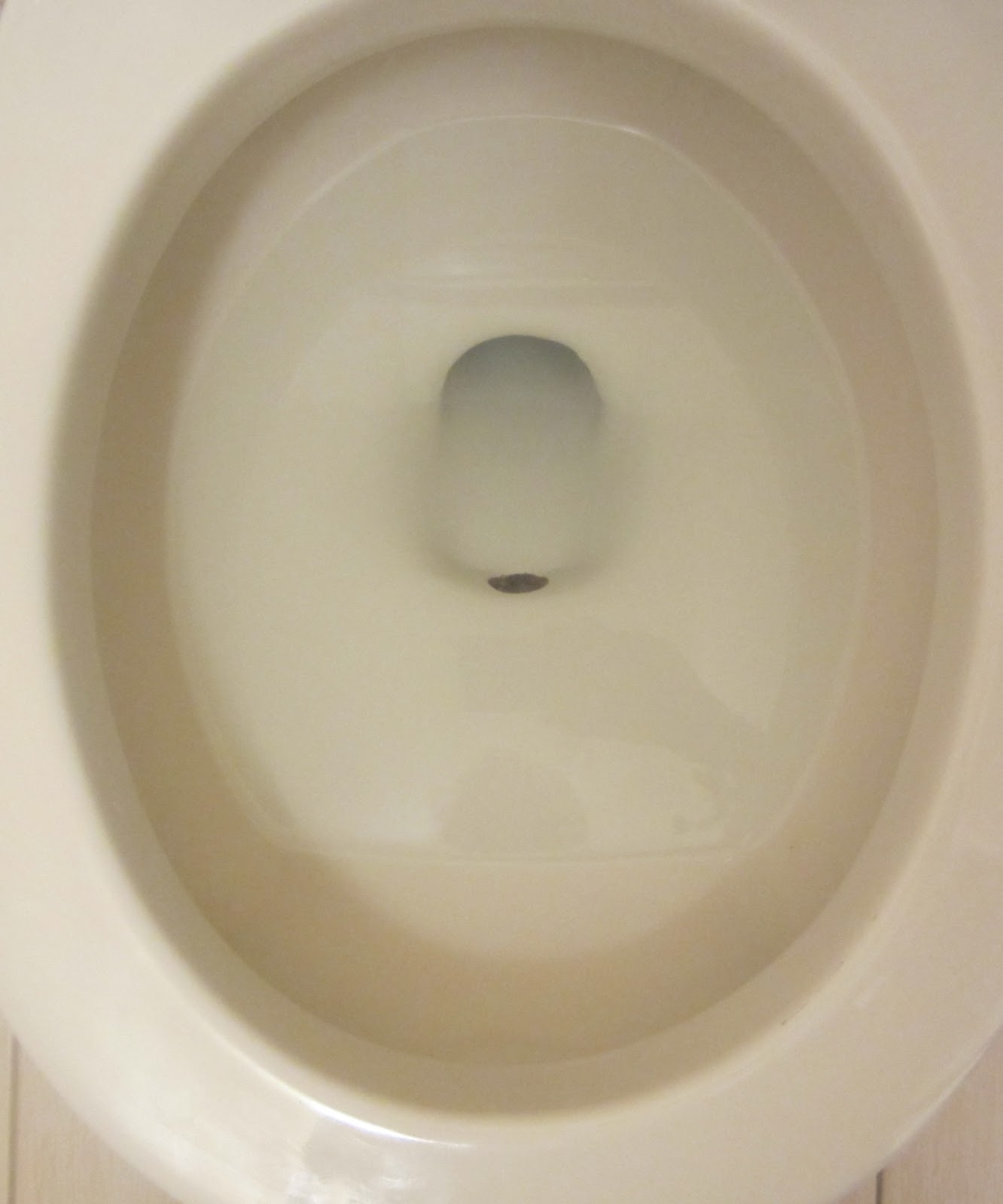 Little Green Blog on the Prairie Nasty "Scales" of a Toilet!!