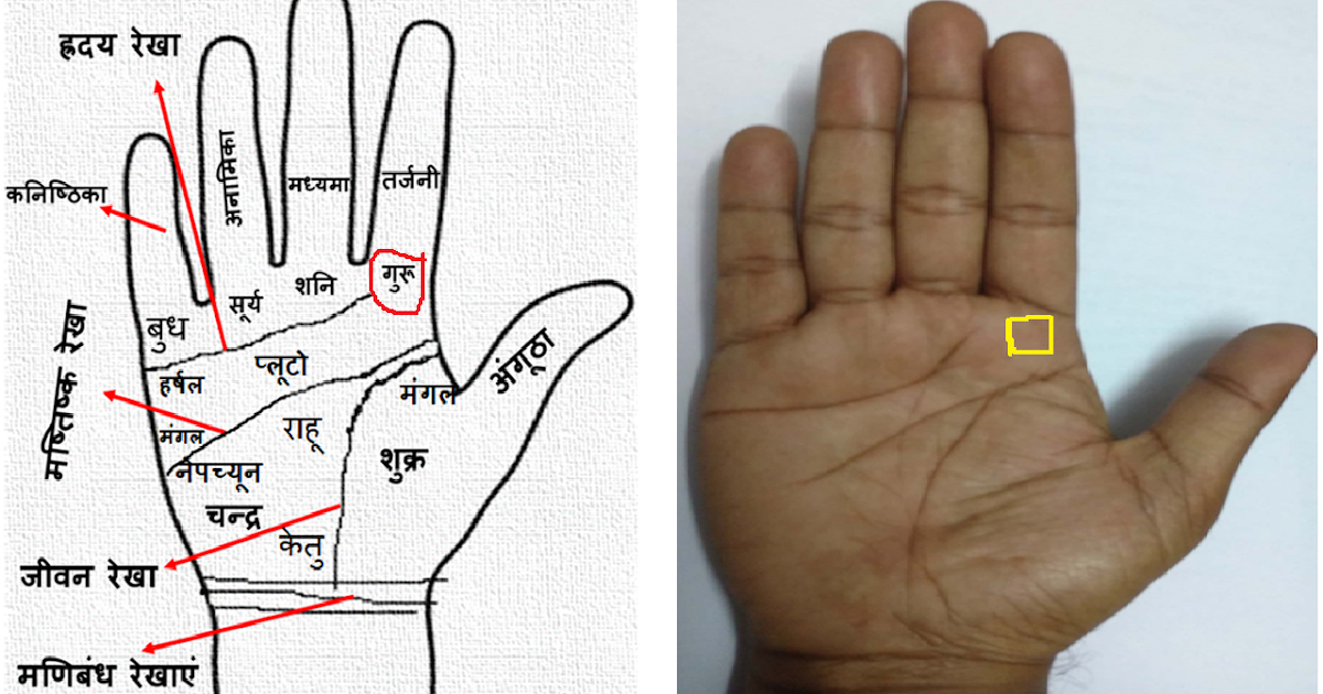 Palmistry in Hindi (हस्तरेखा विज्ञान)