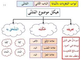 نون الاسم المثنى دائما