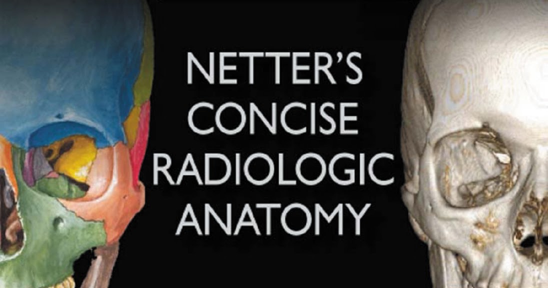 Concise Radiologic Anatomy Best documentation du medecine