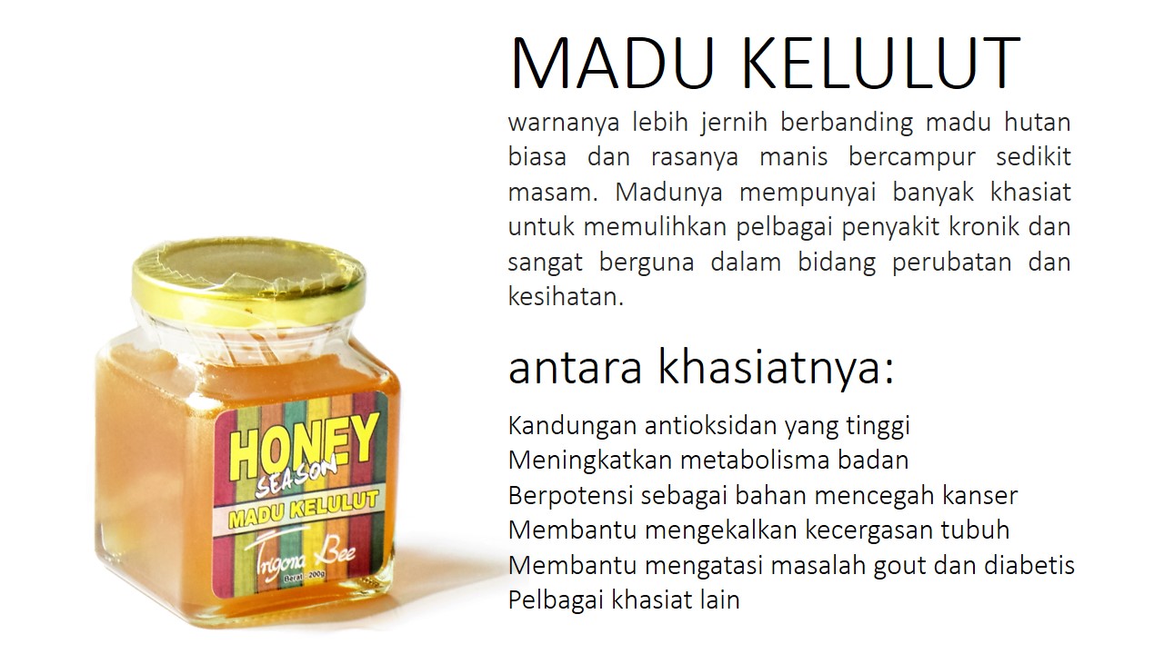Madu Kelulut Honey Season
