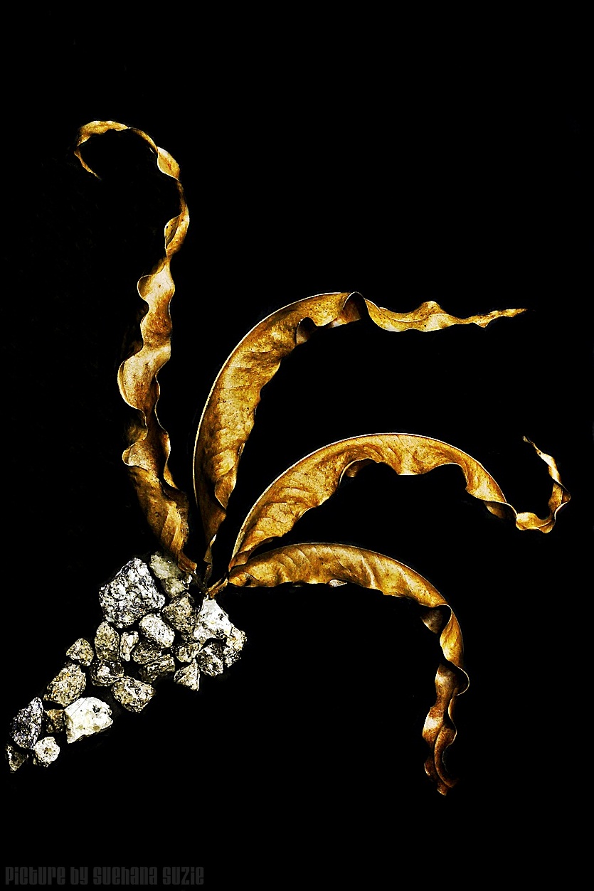 My Whatever Story: The Art On Dried Leaves