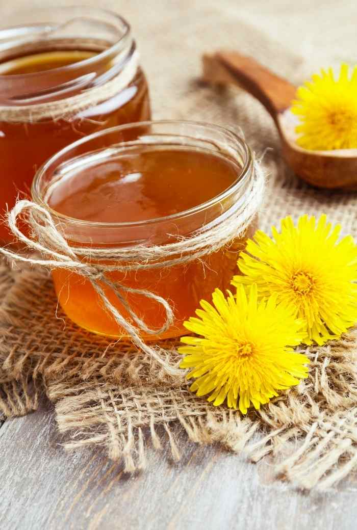 Dandelion Jelly Canning Recipe Homesteading in Ohio