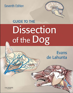 Guide to the Dissection of the Dog 7th Edition