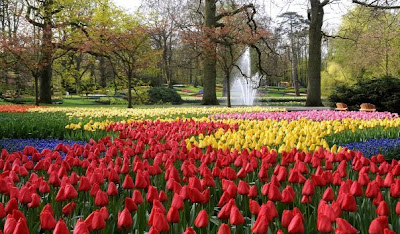 Keukenhof park