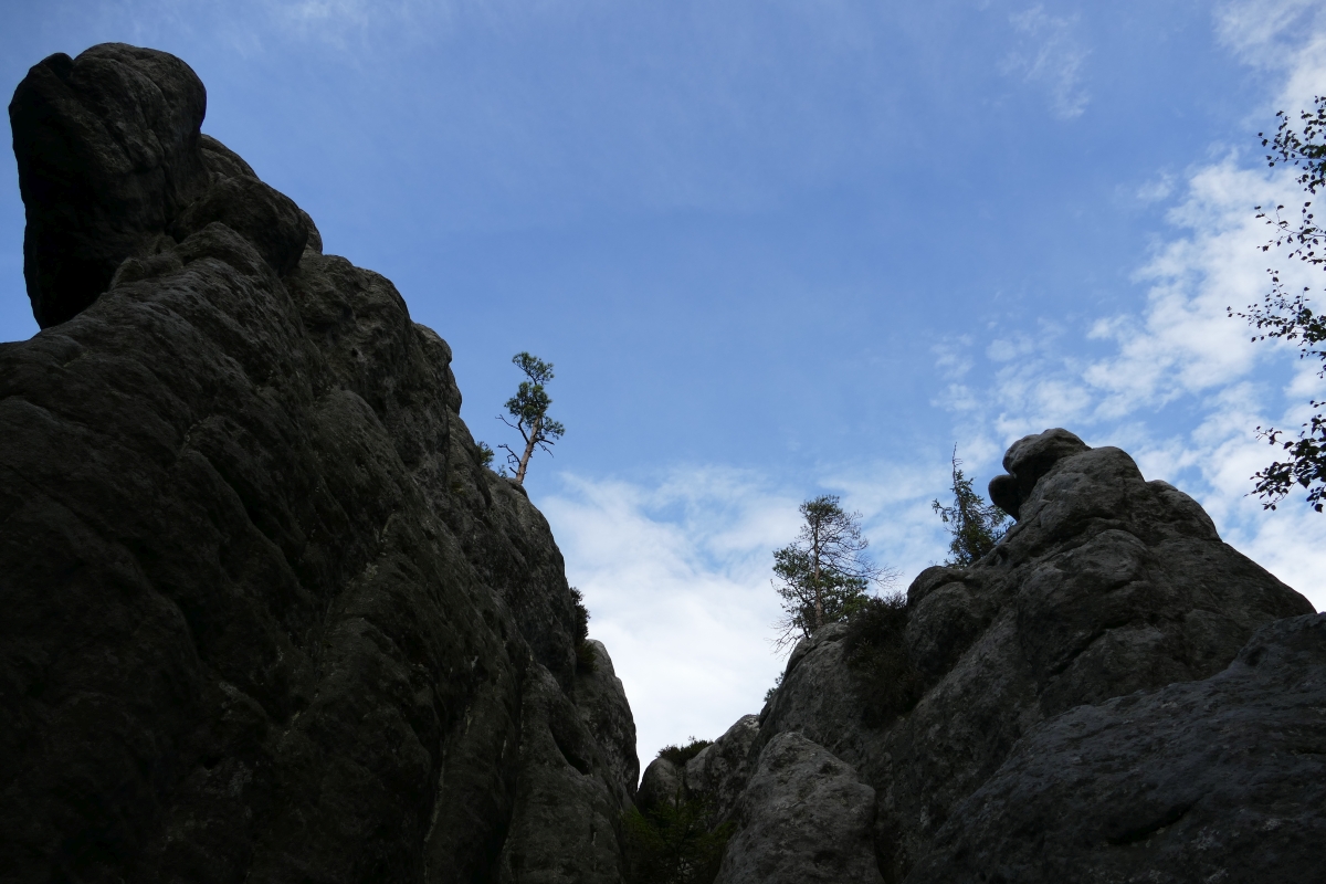 Andrea Rössler auf Weltreisen Wundersame Felsen im Heuscheuergebirge