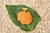कच्चे आम की चटनी बनाने की विधि Kacche Aam ki Chutney Recipe in Hindi