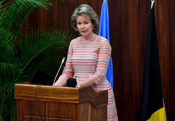 Queen Mathilde wore a bicolor tulle midi dress by Belgian fashion house Natan, and gold earrings by Natan