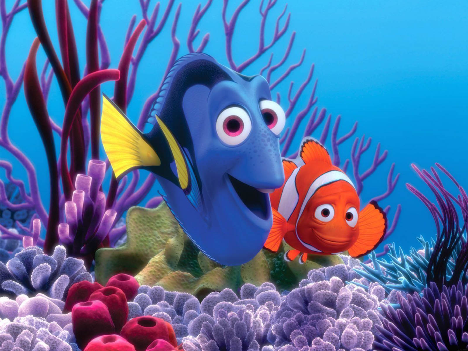 Finding Nemo - moxarogue