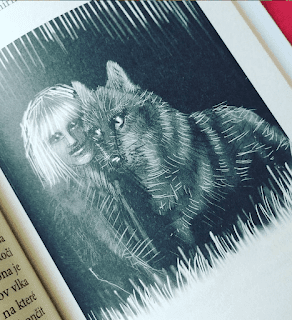 Vlk a já (Oldřiška Ciprová, ilustrace Lenka Němcová, nakladatelství Grada – Bambook)