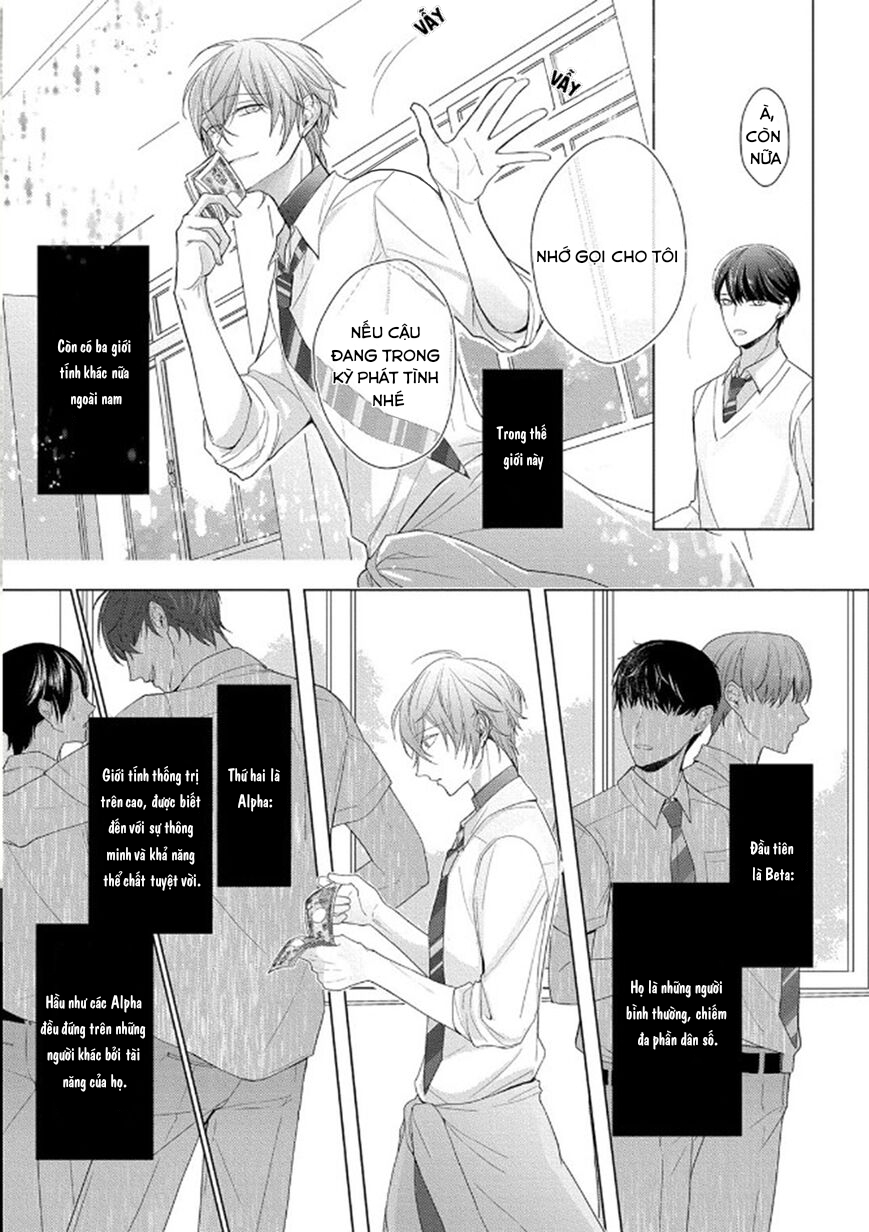 Đọc truyện Omega Không Đứng Đắn Không Thể Rơi Vào Lưới Tình - Chapter 1