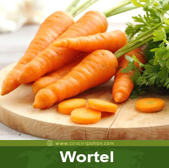 wortel