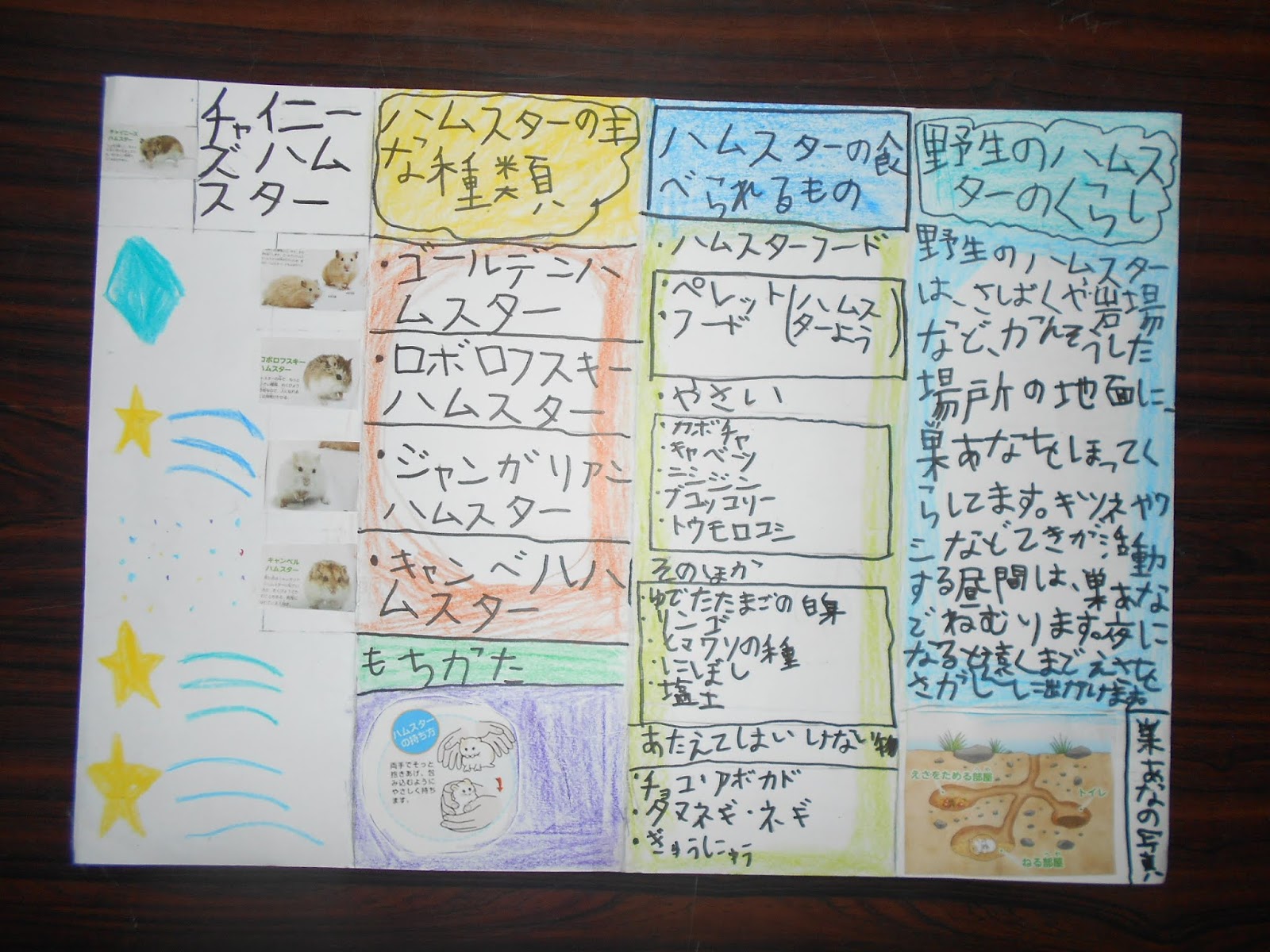 落石小学校ブログ ４年国語 リーフレットでしらせよう