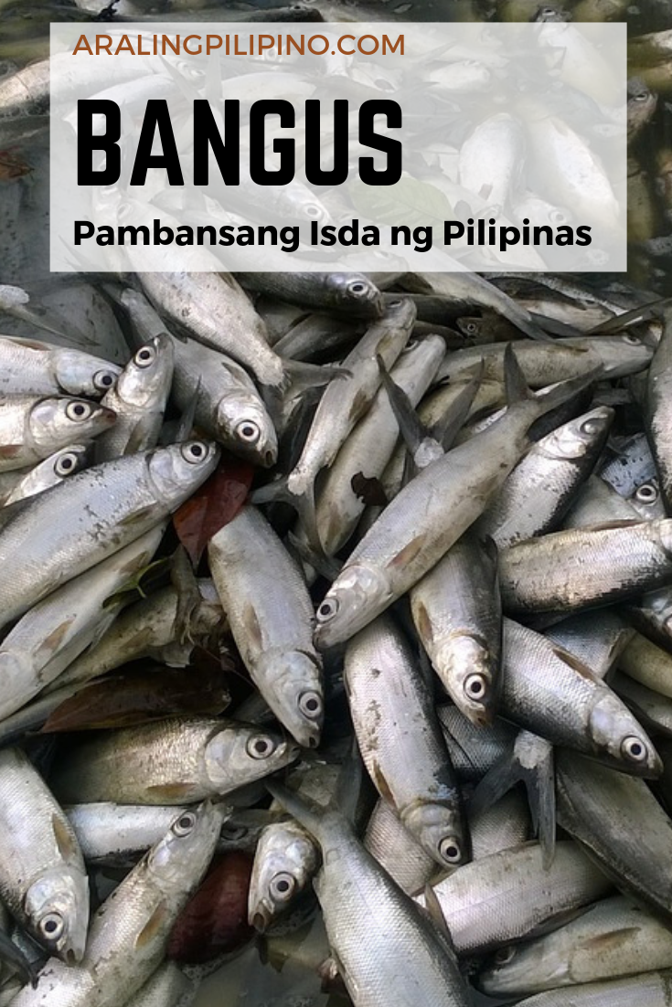 AralingPilipino.com: Mga Pambansang Sagisag ng Pilipinas