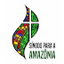 Sínodo para la Amazonía. Principales documentos