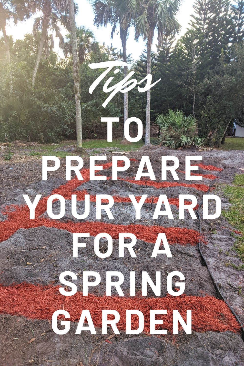 Tips to Prepare Your Yard for a Spring Garden AnointedHeels