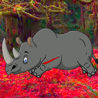 big-rhinoceros-forest-escape.jpg