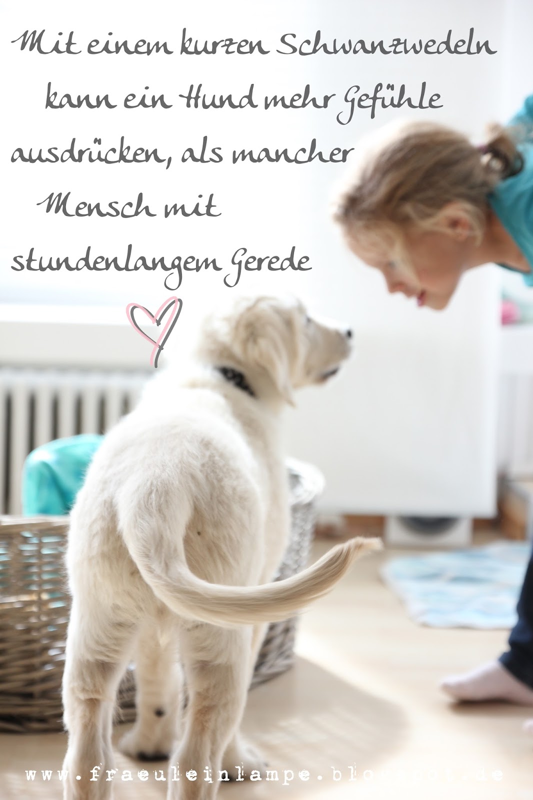Fräulein Lampe Mein Glück auf vier Pfoten