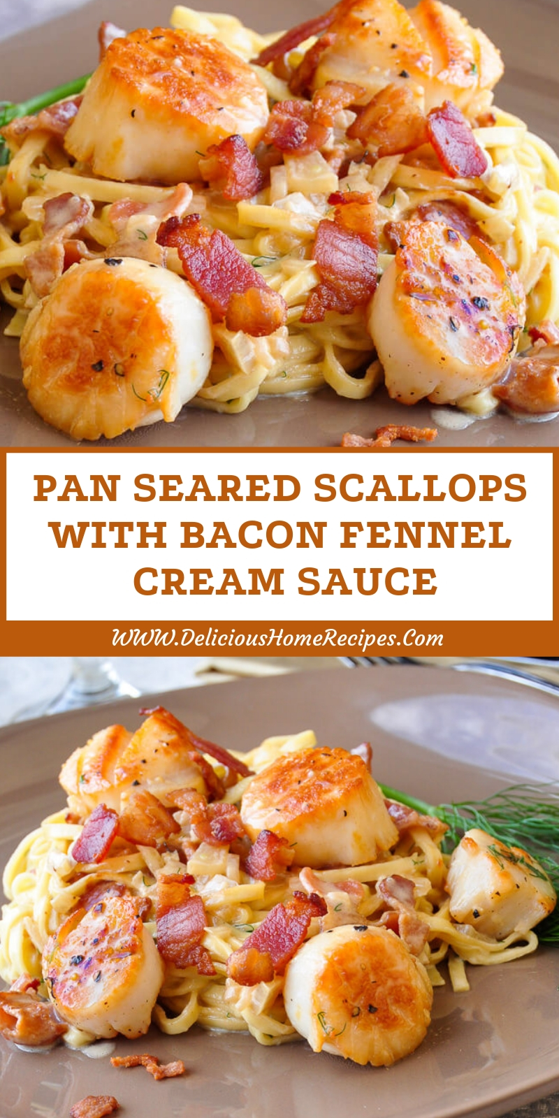 Pan Seared Scallops With Bacon Fennel Cream Sauce