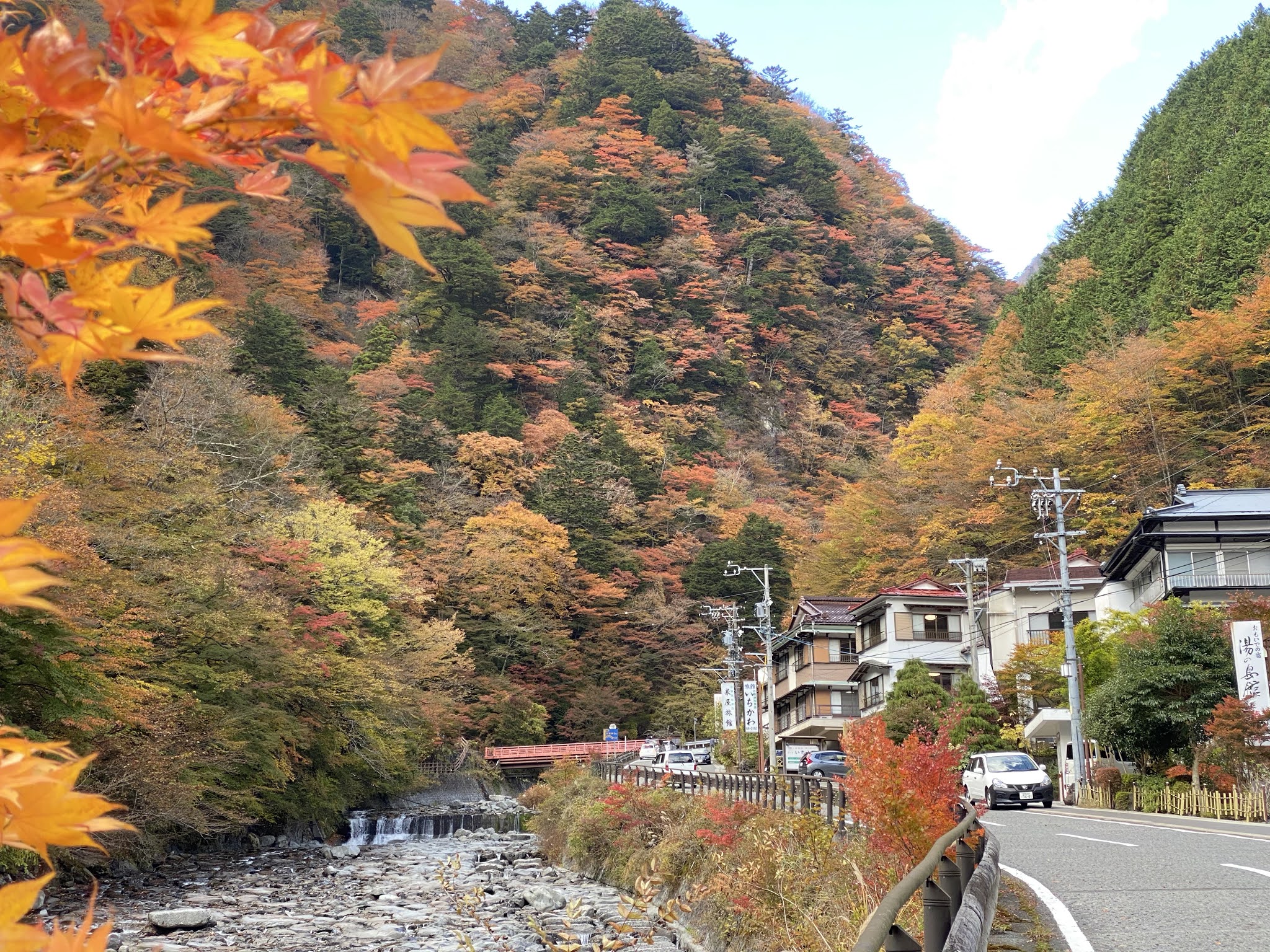 紅葉シーズンまっさかりです 梅ヶ島温泉【公式サイト】 紅葉シーズンまっさかりです 梅ヶ島温泉【公式サイト】