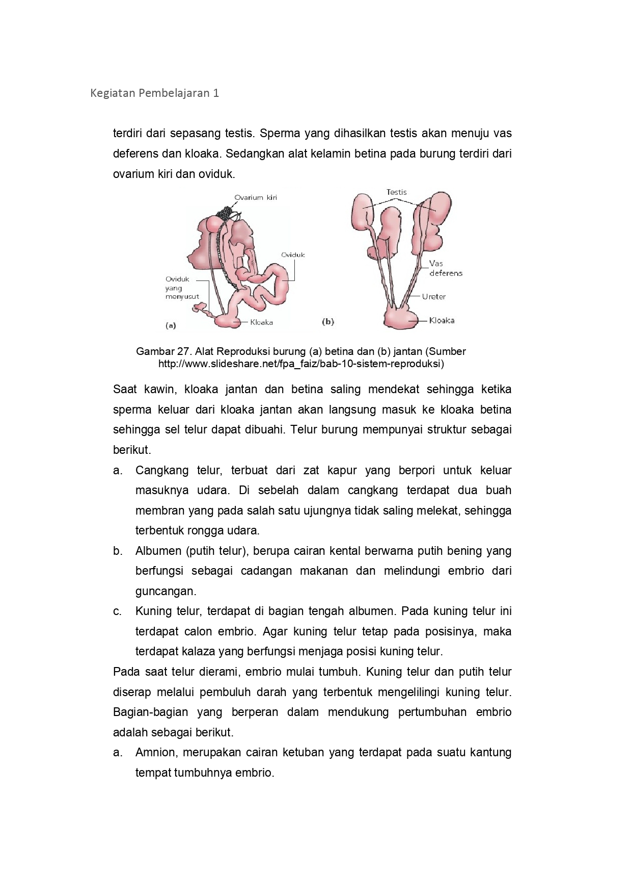 Sistem Perkembangbiakan Tumbuhan dan Hewan SMP/MTS kelas 9