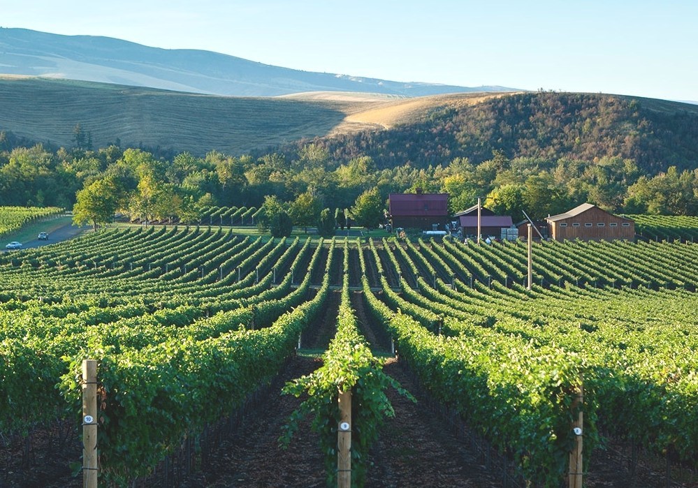 Washington Wine Best Washington State Wineries
