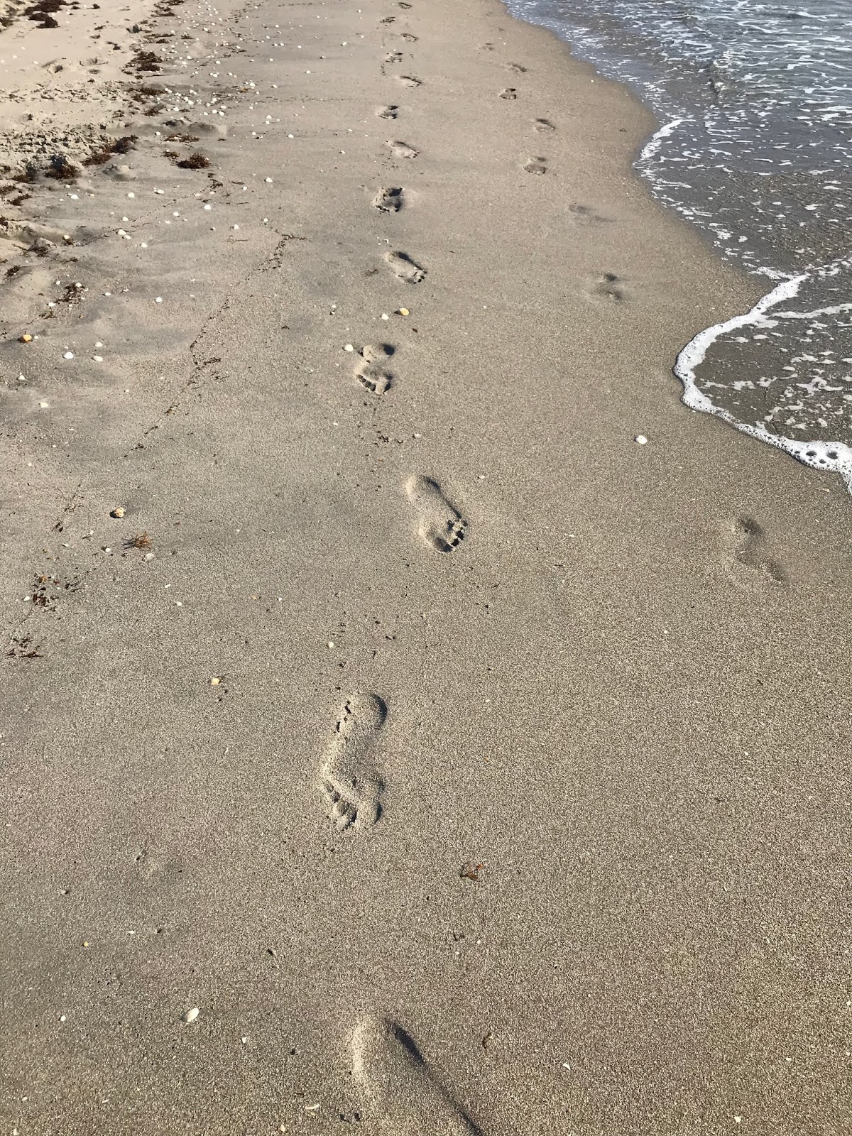 A Bob's Life: Footprints in the Sand