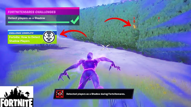 Fortnite: How to Detect Shadow Players