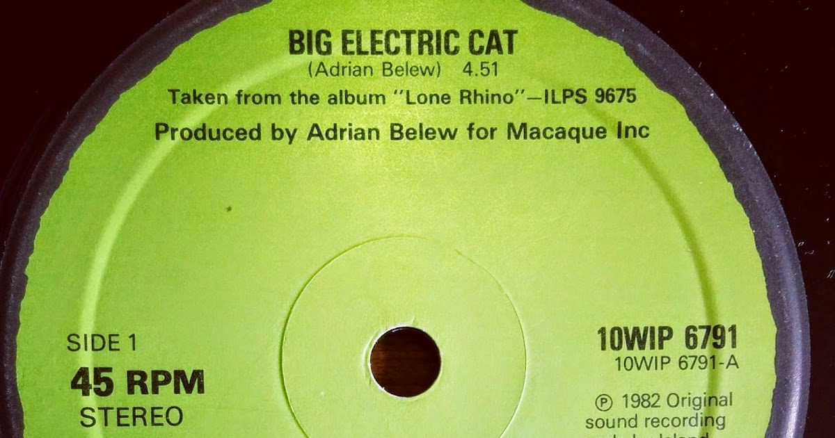 zydeco fish Adrian Belew Big Electric Cat b/w The Lone Rhinoceros (1982)