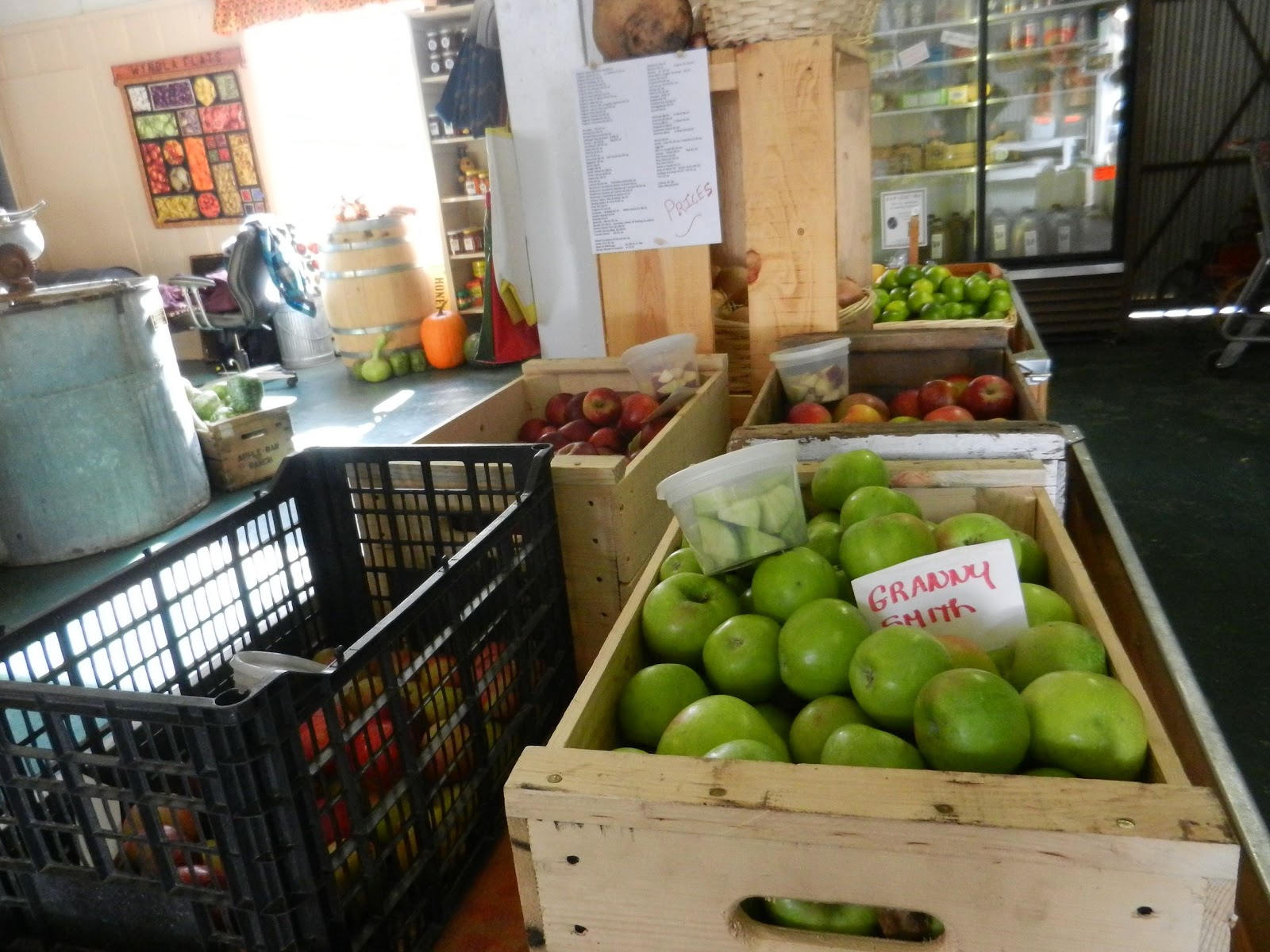 Day in the Life Nina's hues Julian, CA homemade as apple pie