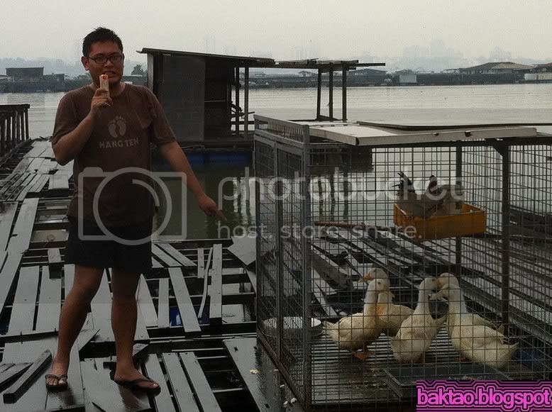 Lim Chu Kang Fish Farm Kelong Fishing in Singapore