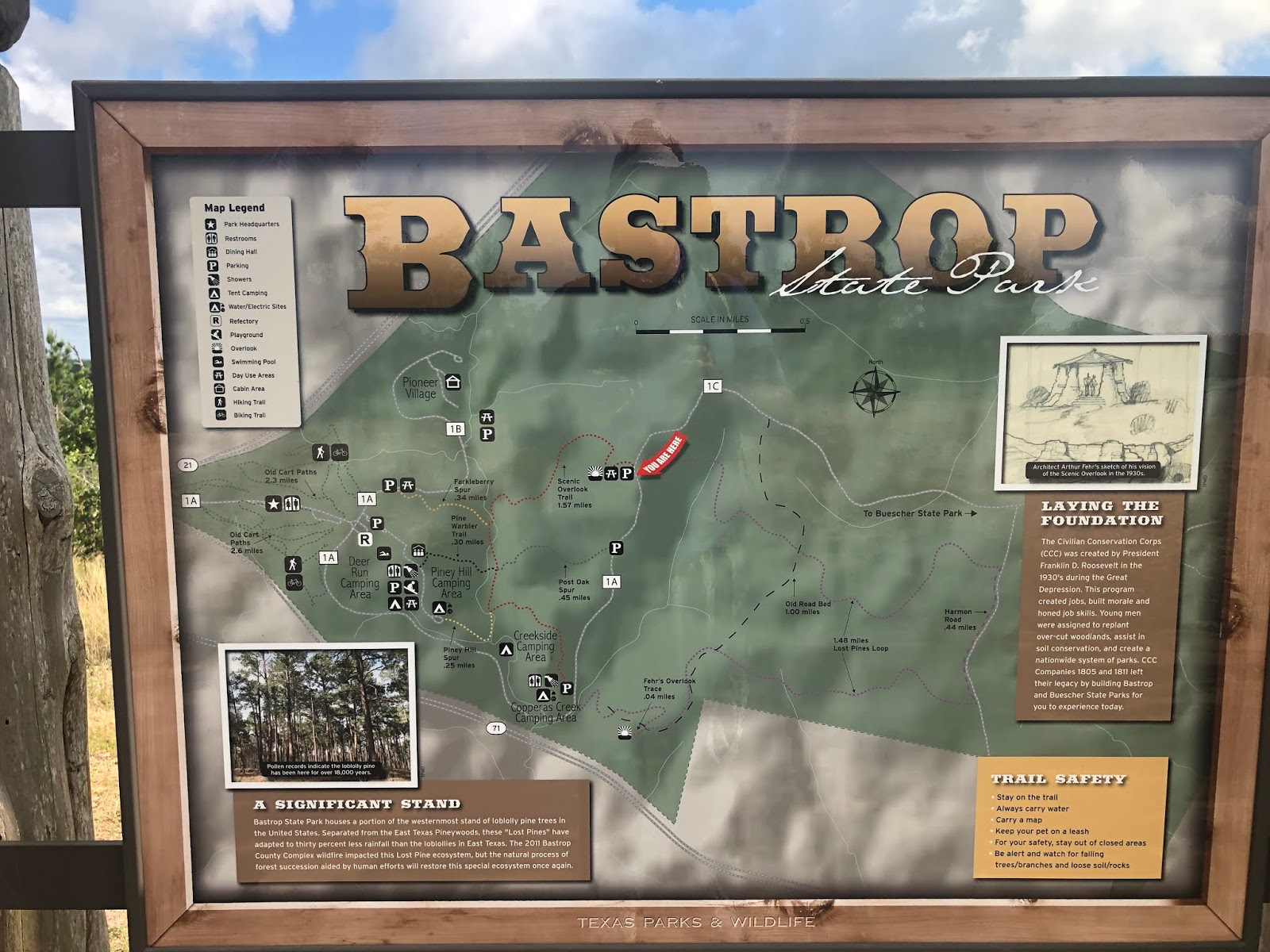 Old-School Navel-Gazer: 30 Hikes in 30 Days: Day Five: Bastrop State Park