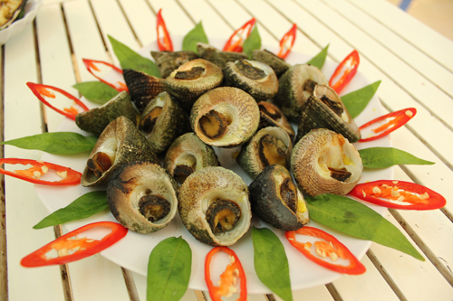Ốc vú biển hấp dẫn thực khách bằng các món luộc, xào, gỏi… và rược ốc vú biển.