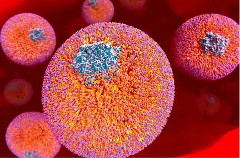 HDL Explanation What Are High Density Lipoproteins HDL Explanation What Are High Density Lipoproteins