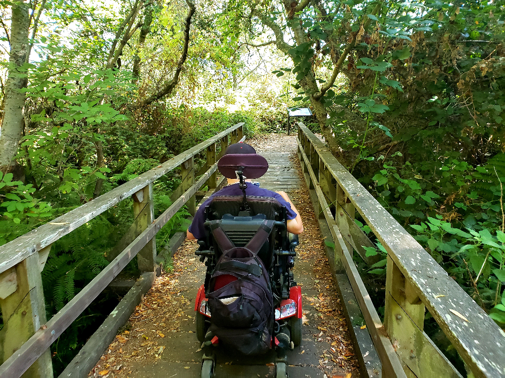 20210826_175952.jpg?profile=RESIZE_400x