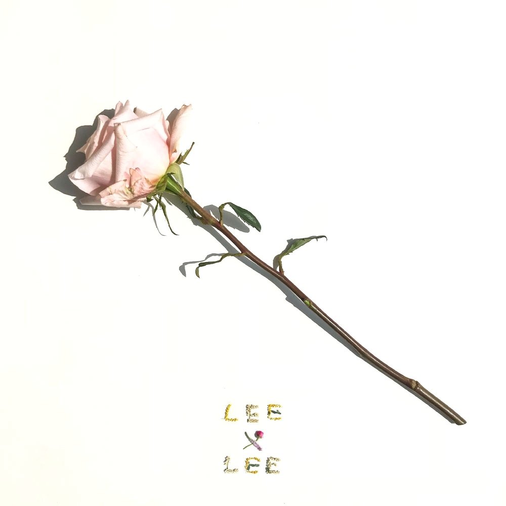 LEEXLEE – Ordinary Words – Single
