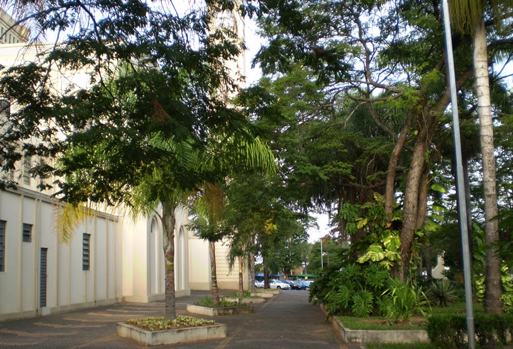 VIAGEM, TURISMO E AVENTURAS POR LUGARES INCRÍVEIS NOVO HORIZONTE / SÃO PAULO / BRAZIL (3.405 VIAGEM, TURISMO E AVENTURAS POR LUGARES INCRÍVEIS NOVO HORIZONTE / SÃO PAULO / BRAZIL (3.405