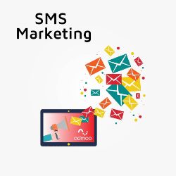 The Reasons Why We Love Bulk SMS.