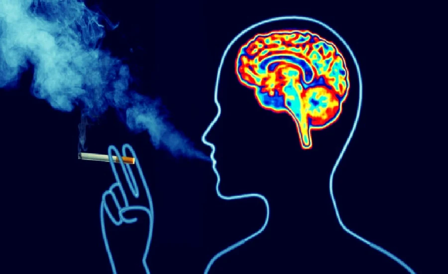Effects of Smoking on Brain