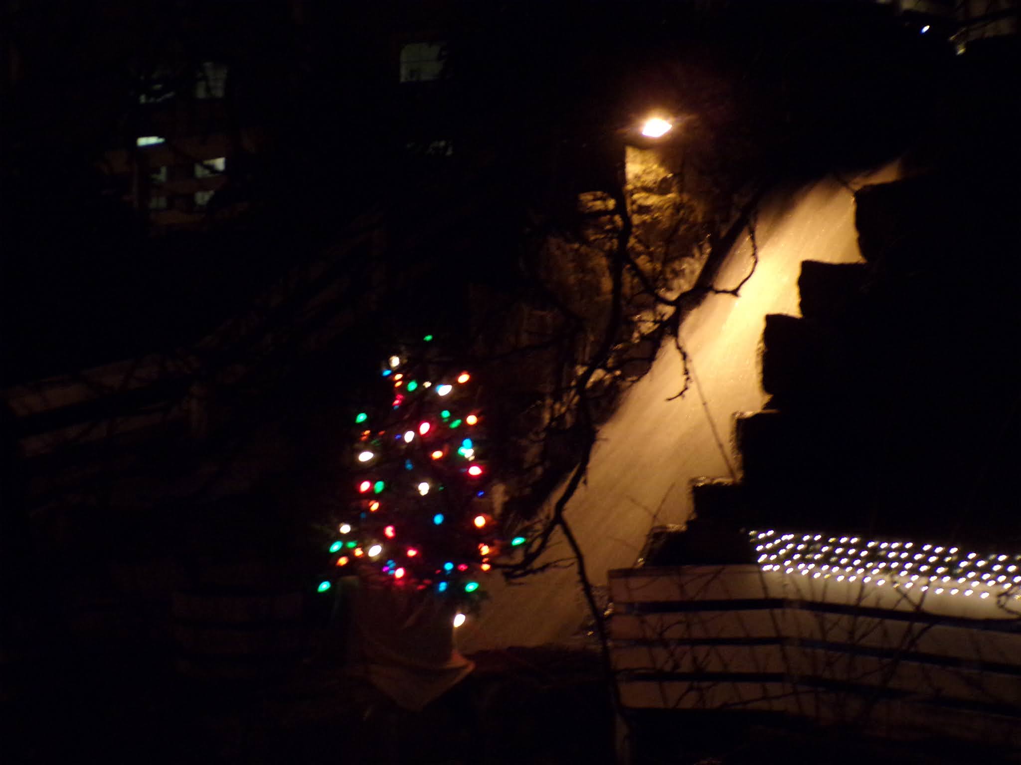 Mrs.T's Christmas Kitchen: Lakeside Christmas lights