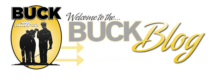 Buck Cattle Co. Blog